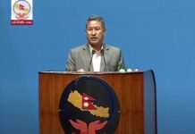 सरकारले चितवनमा निर्माणाधीन क्रिकेट रङ्गशालाको स्वामित्व ग्रहण गर्ने