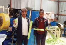 वनस्पतिबाट साबुन बनाउने घरेलु उद्योग सञ्चालनमा