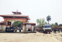 जडीबुटी निकासीमा वृद्धि