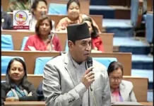 सहकारी ठगी प्रकरणमा छानबिन समिति गठन गर्न माग