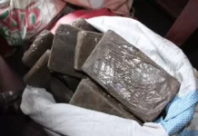 विमानस्थलबाट अवैध लागूऔषध १५ किलो चरेस बरामद