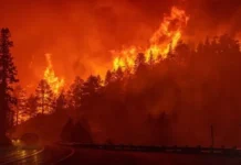 देशभर डढेलो तथा आगलागीमा परी २६ जनाको मृत्यु