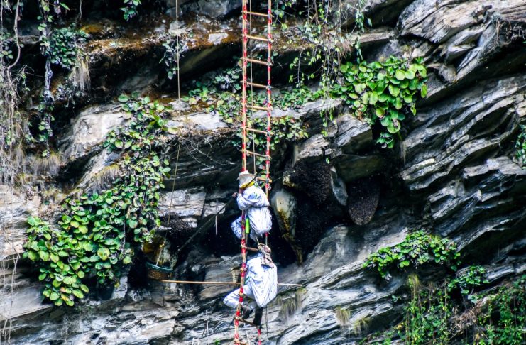 महसिकार पर्यटन प्रवर्द्धनको माध्यमका रूपमा विकास हुन थाल्याे