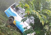 बस दुर्घटना हुँदा चालकसहित आठ जना घाइते
