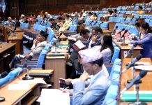 विभिन्न शीर्षकमा खर्च कटौतीको प्रस्ताव प्रस्तुत