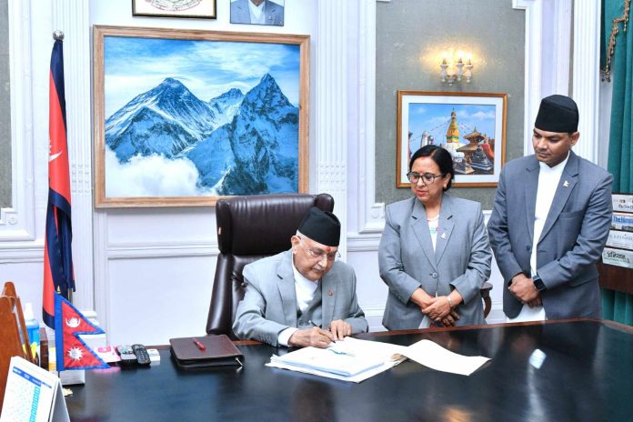 pm-kp-oli-3_zz0bqkQfX4