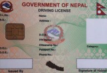 एक लाखभन्दा बढी नक्कली सवारीचालक अनुमतिपत्र