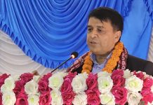 पाल्पाली ढाका उद्योगलाई ब्रान्डिङ गर्न सकिने