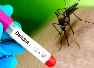 डेंगु संक्रमितको संख्या ६ हजार १ सय ६ पुग्याे
