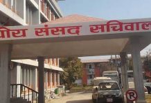 प्रस्तावित १७ राजदूतबारे ३० भदौमा निर्णय लिने