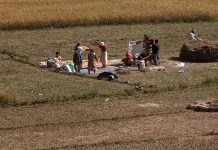 चैते धानको न्यूनतम समर्थन मूल्य तोक्याे