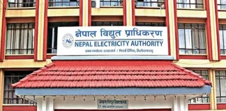 ‘नेपाल डिजिटल पूर्वाधार कम्पनी’ पूर्ण रूपमा सञ्चालनमा
