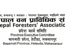 प्राविधिक जनशक्ति कटौती नगर्न वन प्राविधिक संघहरूको ध्यानाकर्षण