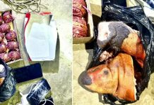 सुतली बम र सुँगुरको टाउको सहित पक्राउ