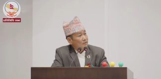 देशको विकासका लागि ३३ बुँदे सुझावसहितको प्रतिबद्धता पत्र सार्वजनिक