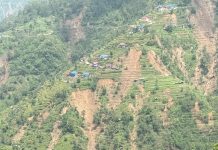च्याङथापूका विभिन्न स्थानमा पहिरो जाँदा छ टोल प्रभावित