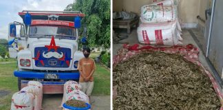 १९९ किलो गाँजासहित टिपर चालक पक्राउ