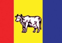 राप्रपा नेपाल संविधानसभा निर्माण प्रक्रियामा सहभागि हुने