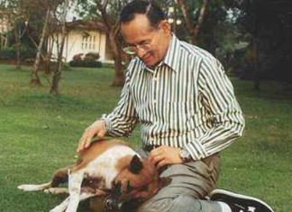 कुकुरलाई गाली गर्दा जेलको बास