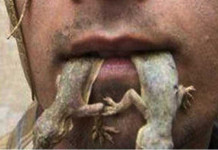 यी हुन् माउसुलीको सुप खाने मान्छे