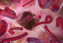 अनुसन्धानकर्ताले पत्ता लगायो, रुघाखोकीको भाइरसले क्यान्सरको जोखिम कम गराउने