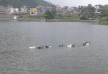 मन नै लोभ्याउने टौदहलाई नजिकैबाट नियाल्दा (फोटो फिचर)