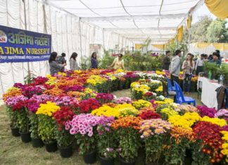 गोदावरी पुष्प मेलामा ६२ लाख रुपैयाँको कारोबार