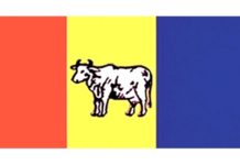 राप्रपाले ३ सय १ औँ पृथ्वी जयन्ती मनाउने