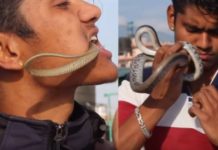 जुन सुकै सर्प सजिलै समात्न सक्ने