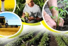 चितवनमा कृषि मेला हुने