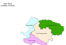 स्याउसँगै तरकारी खेती