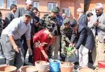 आफ्नो जन्मदिनमा आँपको बिरुवा रोप्दै प्रधानमन्त्री ओली