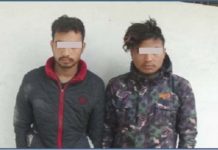 दुईजना टिपर चालक पक्राउ