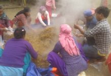 च्याउ खेतीबाट लाखौंको आम्दानी
