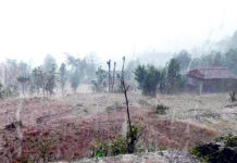 बालीनाली, फलफूल खेतीमा ठूलो क्षति