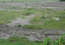 जमीन बाँझो राख्नेलाई सरकारबाट कारवाही