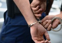 रेडपाण्डाको छाला सहित एक युवा पक्राउ