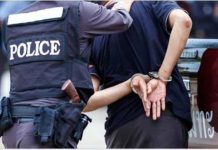 कटुवा पेस्तोल र गोली बरामद