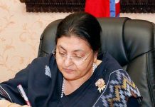 विविधतापूर्ण संस्कृति नेपालको मौलिक पहिचान र अमूल्य सम्पदा