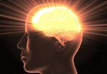 स्मरणशक्ति सम्बन्धी वार्षिक चार वटा कार्यक्रम हुने