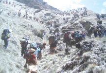 बझाङवासी लागे यार्सा टिप्न लेकतिर