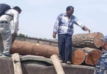 भारतको सिमाबाट अवैध काठ बरामद