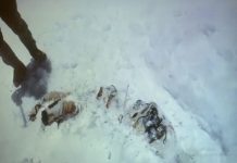 सगरमाथा सफाई अभियानका क्रममा निकालियो चार शव र ११ टन फोहोर