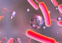 झाडापखालाबाट बच्न के गर्ने ?