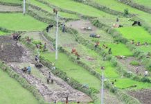 लोप हुने स्थितिमा पुग्यो धान दिवस