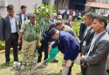 वातावरण दिवसका अवसरमा प्रधानमन्त्रीले रोपे एभोकाडोको विरुवा