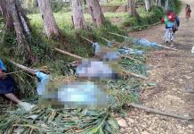 पपुवा न्युगिनीमा आदिवासी नरसंहार