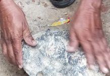 आकाशबाट करिब १० किलोको एउटा ढुंगा खसेपछि हेर्नेहरूको भीड