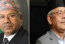 संगठन विभागमा वामदेव, विदेश विभागमा नेपाल