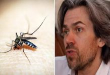 पशु अधिकारकर्मीको अपिल लामखुट्टे नमारौं, रगत चुस्न दिऔं